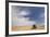 Wheat Field and Combine, North Platte, Nebraska, USA-Walter Bibikow-Framed Photographic Print