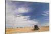 Wheat Field and Combine, North Platte, Nebraska, USA-Walter Bibikow-Stretched Canvas