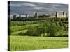 Wheat field and distant Monteriggioni, Siena, Tuscany, Italy-Adam Jones-Stretched Canvas