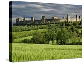 Wheat field and distant Monteriggioni, Siena, Tuscany, Italy-Adam Jones-Stretched Canvas