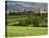 Wheat field and distant Monteriggioni, Siena, Tuscany, Italy-Adam Jones-Stretched Canvas