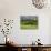 Wheat field and distant Monteriggioni, Siena, Tuscany, Italy-Adam Jones-Photographic Print displayed on a wall