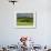 Wheat field and distant Monteriggioni, Siena, Tuscany, Italy-Adam Jones-Framed Photographic Print displayed on a wall