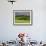 Wheat field and distant Monteriggioni, Siena, Tuscany, Italy-Adam Jones-Framed Photographic Print displayed on a wall