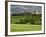 Wheat field and distant Monteriggioni, Siena, Tuscany, Italy-Adam Jones-Framed Photographic Print