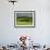 Wheat field and distant Monteriggioni, Siena, Tuscany, Italy-Adam Jones-Framed Photographic Print displayed on a wall