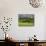 Wheat field and distant Monteriggioni, Siena, Tuscany, Italy-Adam Jones-Mounted Photographic Print displayed on a wall