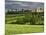 Wheat field and distant Monteriggioni, Siena, Tuscany, Italy-Adam Jones-Mounted Photographic Print