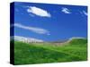 Wheat Field and Fence-Darrell Gulin-Stretched Canvas