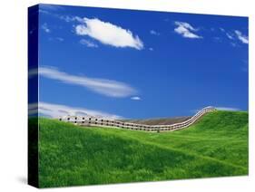 Wheat Field and Fence-Darrell Gulin-Stretched Canvas