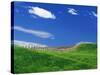 Wheat Field and Fence-Darrell Gulin-Stretched Canvas