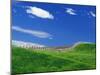 Wheat Field and Fence-Darrell Gulin-Mounted Premium Photographic Print