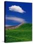 Wheat Field and Fence-Darrell Gulin-Stretched Canvas