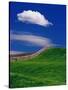 Wheat Field and Fence-Darrell Gulin-Stretched Canvas