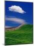 Wheat Field and Fence-Darrell Gulin-Mounted Photographic Print