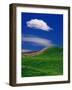 Wheat Field and Fence-Darrell Gulin-Framed Photographic Print