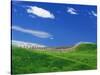 Wheat Field and Fence-Darrell Gulin-Stretched Canvas