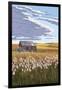 Wheat Field and Shack-Lantern Press-Framed Art Print