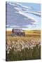 Wheat Field and Shack-Lantern Press-Stretched Canvas