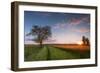 Wheat Field at Sunset, Foligno, Umbria, Italy.-ClickAlps-Framed Photographic Print