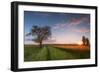 Wheat Field at Sunset, Foligno, Umbria, Italy.-ClickAlps-Framed Photographic Print