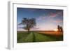 Wheat Field at Sunset, Foligno, Umbria, Italy.-ClickAlps-Framed Photographic Print