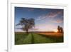 Wheat Field at Sunset, Foligno, Umbria, Italy.-ClickAlps-Framed Photographic Print