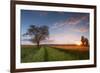 Wheat Field at Sunset, Foligno, Umbria, Italy.-ClickAlps-Framed Photographic Print