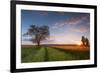Wheat Field at Sunset, Foligno, Umbria, Italy.-ClickAlps-Framed Photographic Print