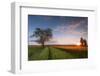 Wheat Field at Sunset, Foligno, Umbria, Italy.-ClickAlps-Framed Photographic Print