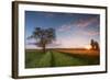 Wheat Field at Sunset, Foligno, Umbria, Italy.-ClickAlps-Framed Photographic Print