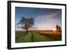 Wheat Field at Sunset, Foligno, Umbria, Italy.-ClickAlps-Framed Photographic Print