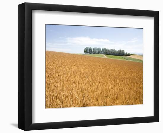 Wheat field, Biei, Hokkaido, Japan-Aso Fujita-Framed Photographic Print