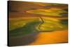 Wheat Field in Afternoon Sun from Steptoe Butte-Craig Tuttle-Stretched Canvas