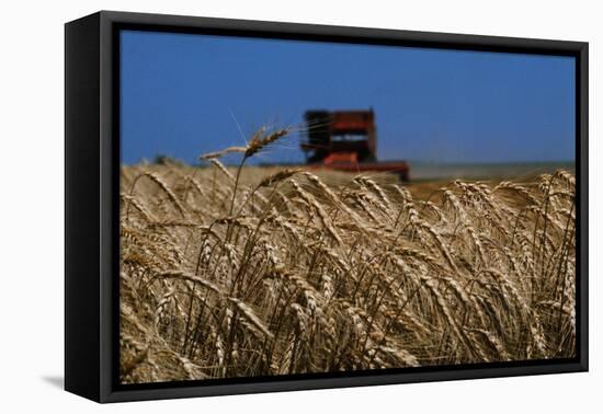 Wheat Field in Kansas-null-Framed Stretched Canvas