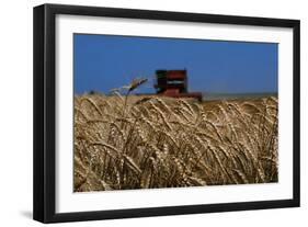 Wheat Field in Kansas-null-Framed Premium Photographic Print