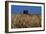 Wheat Field in Kansas-null-Framed Photographic Print