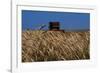 Wheat Field in Kansas-null-Framed Photographic Print