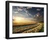 Wheat Field in Late Summer at Sunset-Givaga-Framed Photographic Print