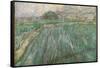 Wheat Field in Rain. Date/Period: Saint-Rémy, November 1889. Painting. Oil on canvas. Height: 73...-VINCENT VAN GOGH-Framed Stretched Canvas
