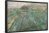 Wheat Field in Rain. Date/Period: Saint-Rémy, November 1889. Painting. Oil on canvas. Height: 73...-VINCENT VAN GOGH-Framed Poster