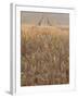 Wheat Field in the Dordogne, Aquitaine, France-Jonathan Hodson-Framed Photographic Print