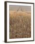 Wheat Field in the Dordogne, Aquitaine, France-Jonathan Hodson-Framed Photographic Print