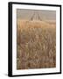 Wheat Field in the Dordogne, Aquitaine, France-Jonathan Hodson-Framed Photographic Print