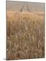 Wheat Field in the Dordogne, Aquitaine, France-Jonathan Hodson-Mounted Photographic Print
