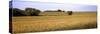 Wheat Field, Kansas, USA-null-Stretched Canvas