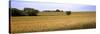 Wheat Field, Kansas, USA-null-Stretched Canvas