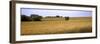 Wheat Field, Kansas, USA-null-Framed Premium Photographic Print