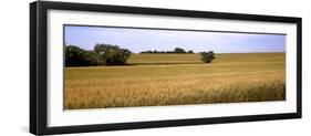 Wheat Field, Kansas, USA-null-Framed Premium Photographic Print