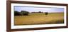 Wheat Field, Kansas, USA-null-Framed Photographic Print